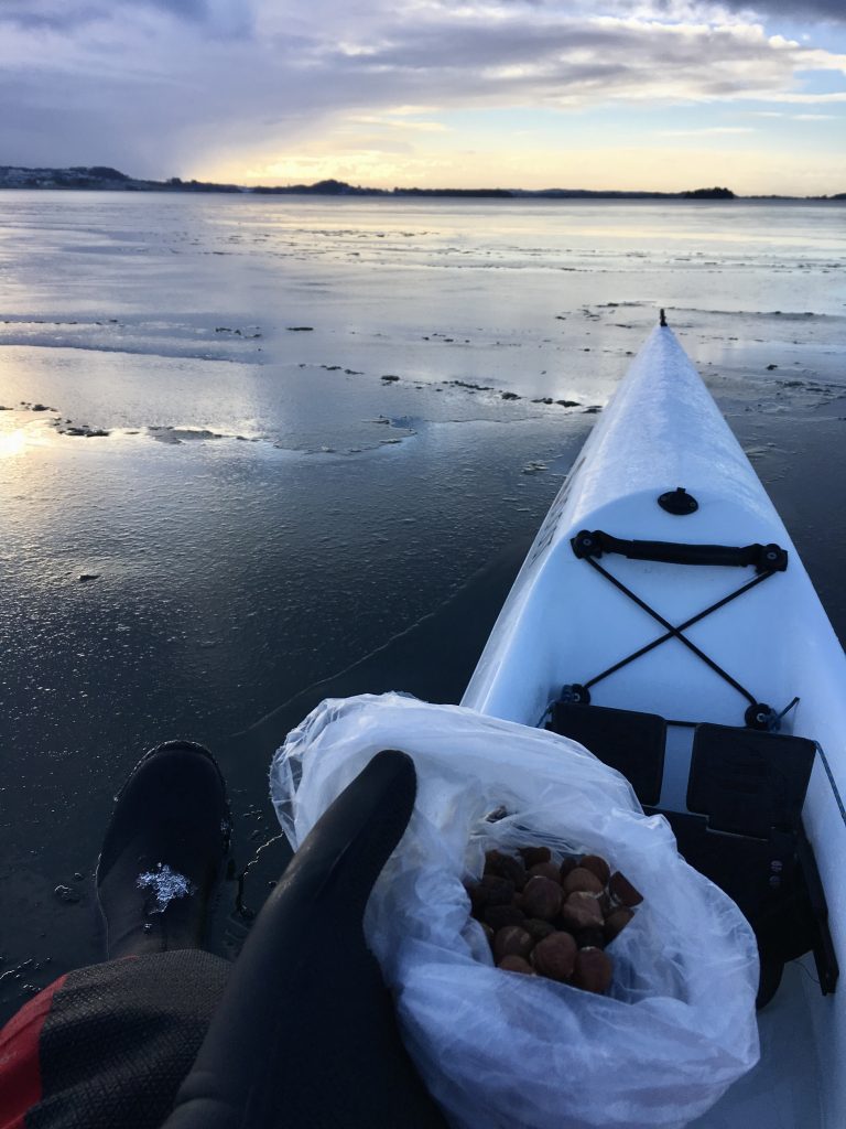 sailboat cockpit tent