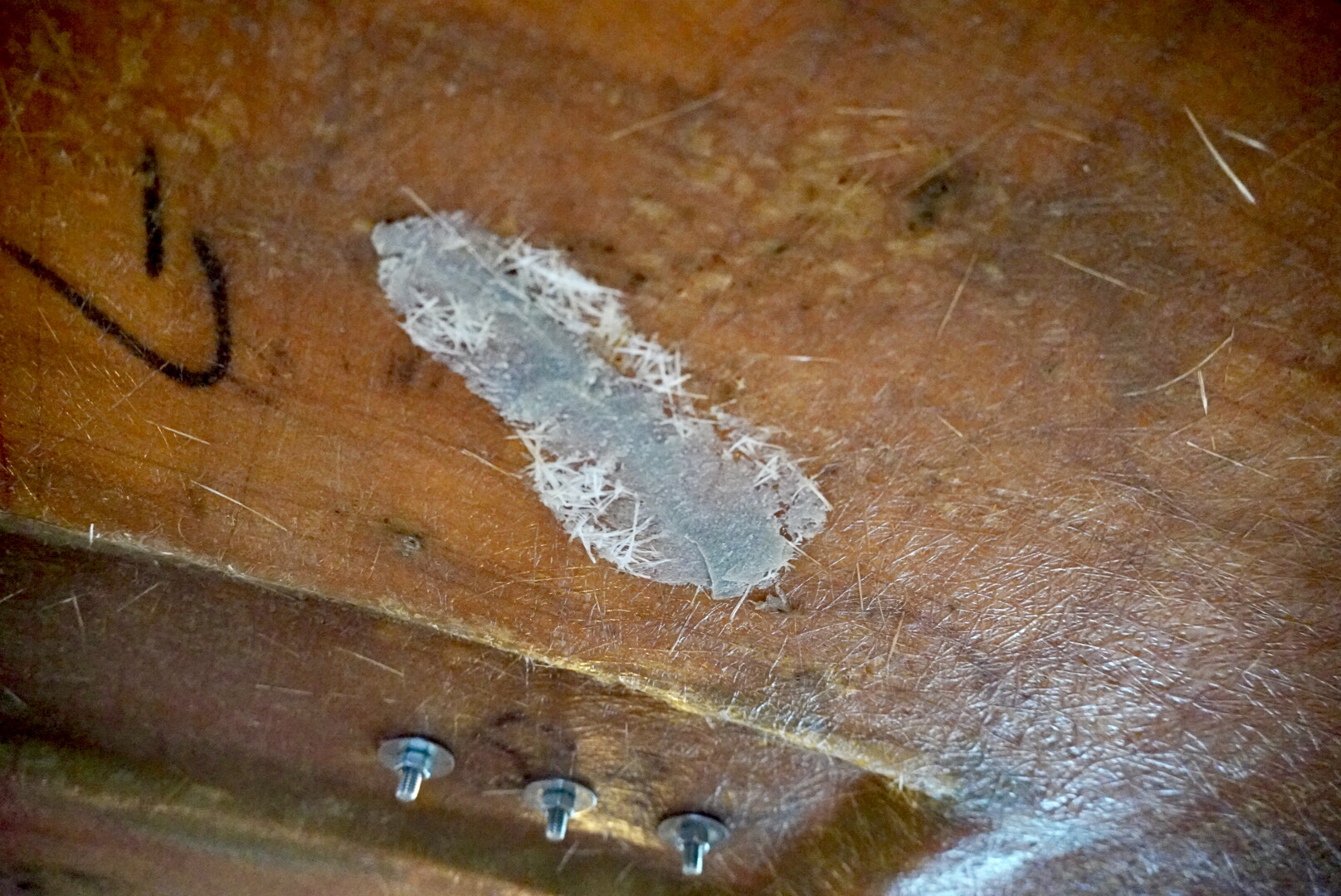 How to get rid of condensation on a boat Part 2 SY Selkie