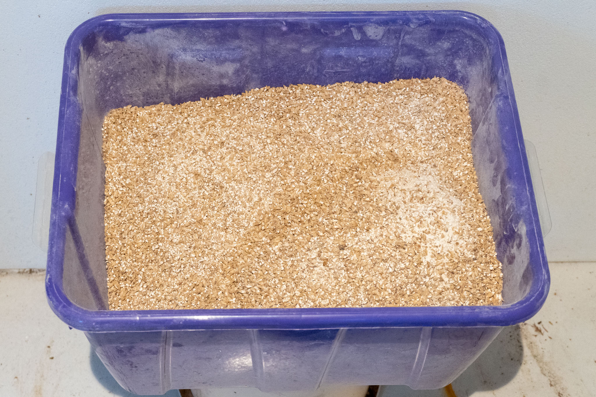 Traditional Norwegian ale Vossaøl with kveik recipe SY Selkie