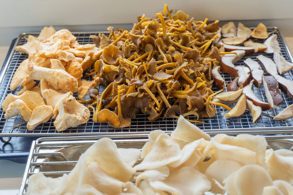 Cleaning foraged mushrooms